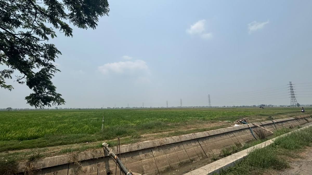 Lahan sawah